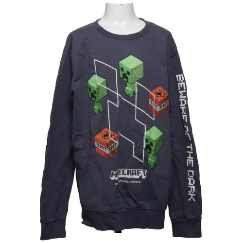 Minecraft sweatshirt - minecraft,,
